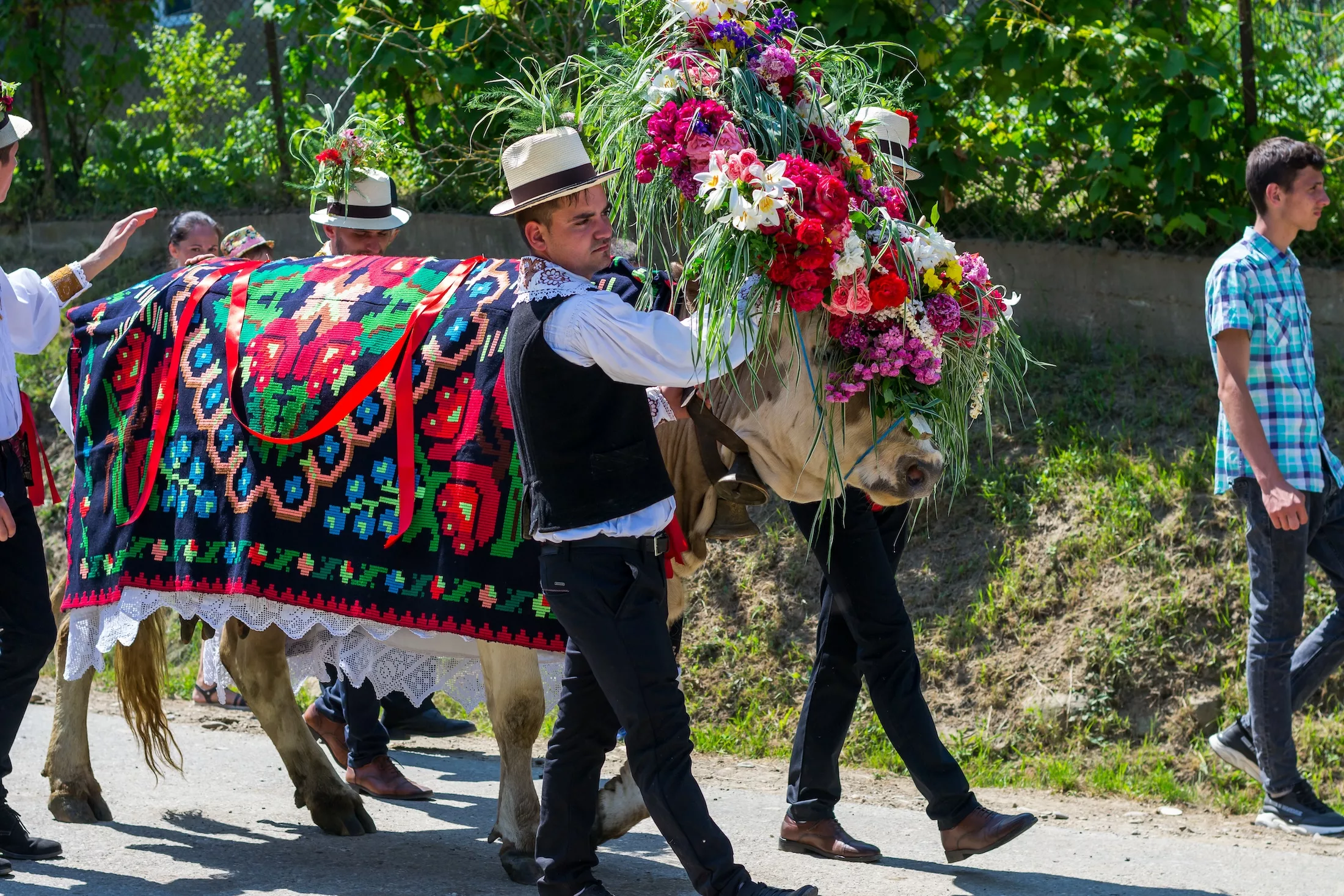 Batin, Cluj/Romania-06.16.2019: