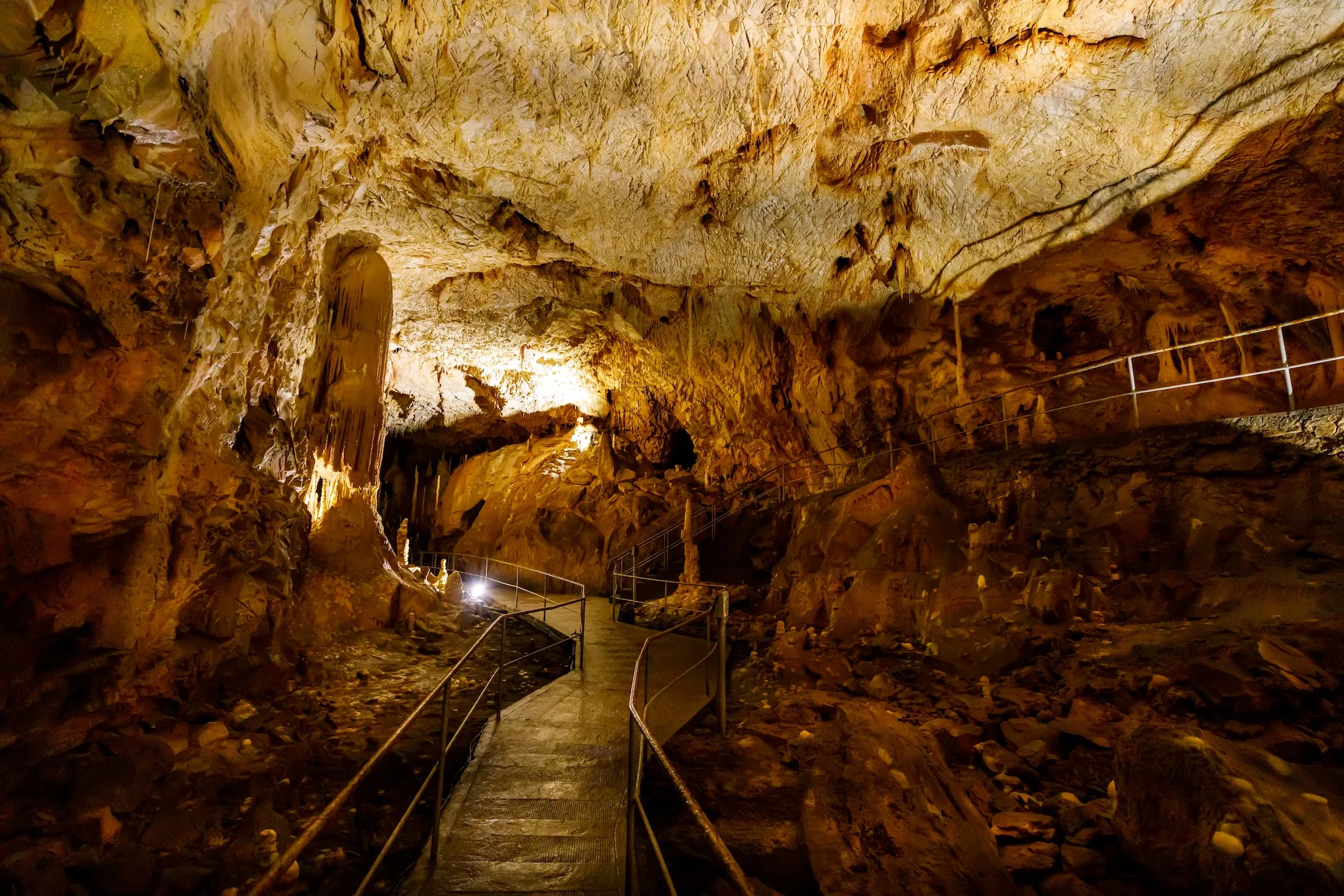 The bear cave pestera ursilor at chiscau in romania