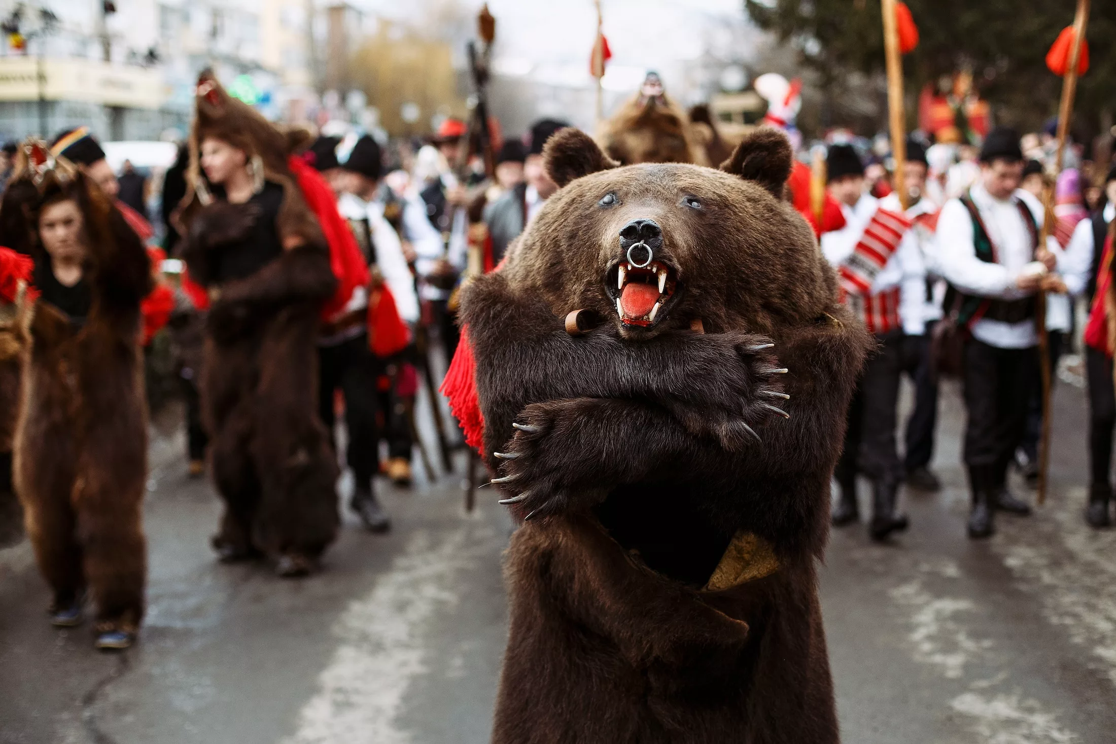 Comanesti, Romania, December 2016: Colorful participant in traditional Romanian clothes at the bear dance in Comanesti Traditions Festival which takes place end of each year.