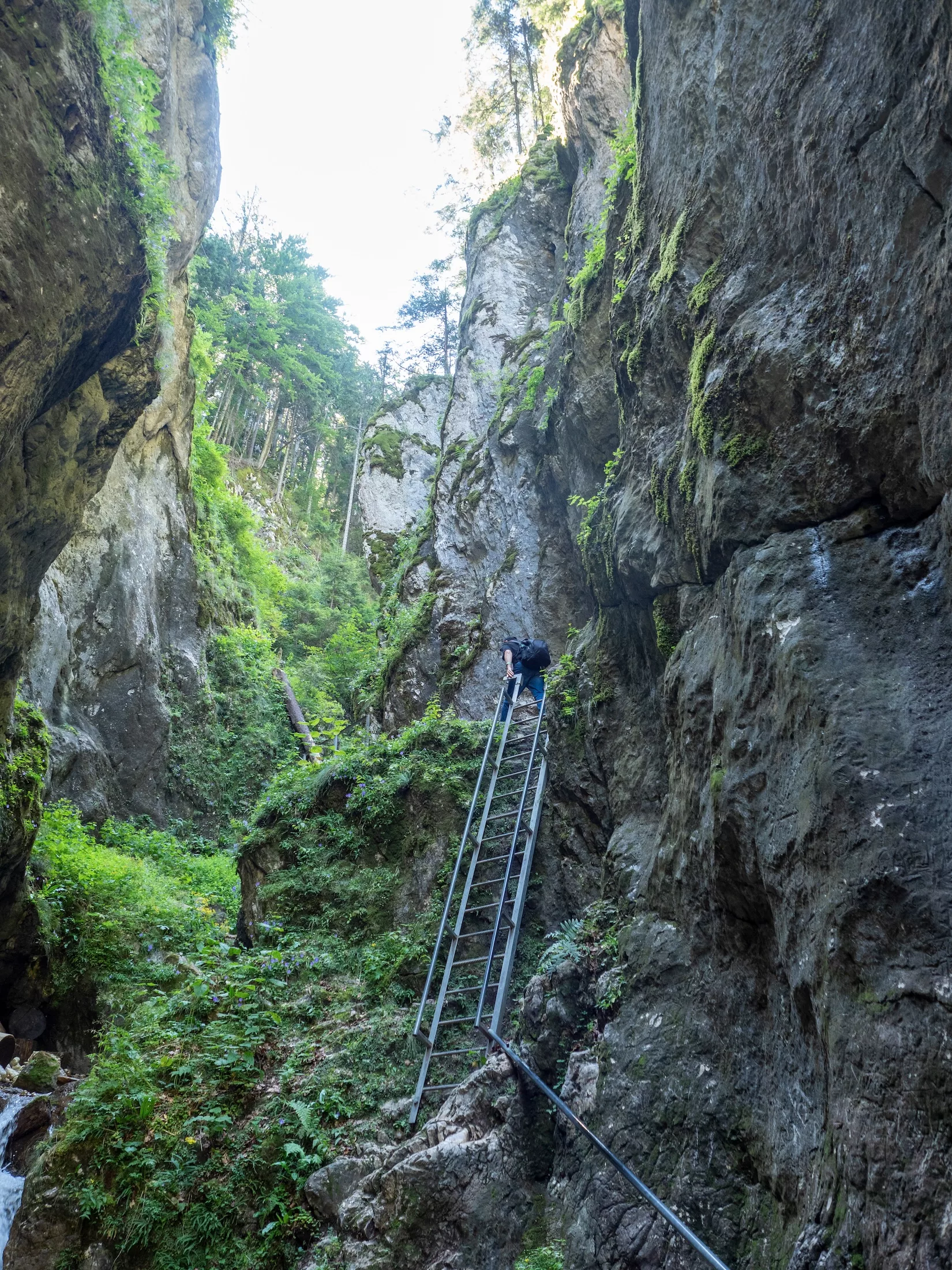 Timisu de Jos/Romania - August 14 2019: Seven Stairs Canyon (in Romanian Canionul Șapte Scări) is a gorge in the western part of Piatra Mare, Brasov County, Romania.