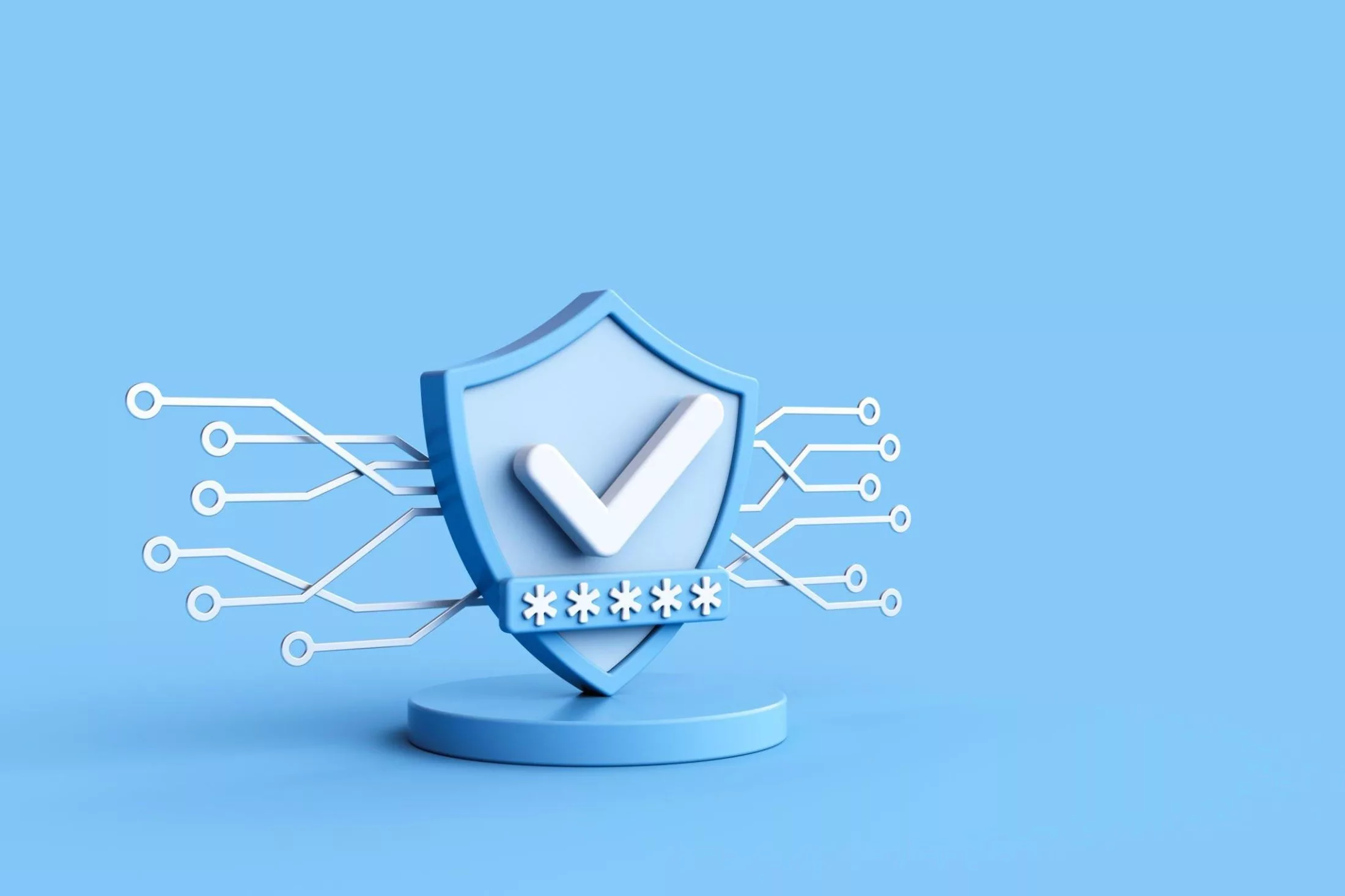 3D rendering Data protection and secured internet access