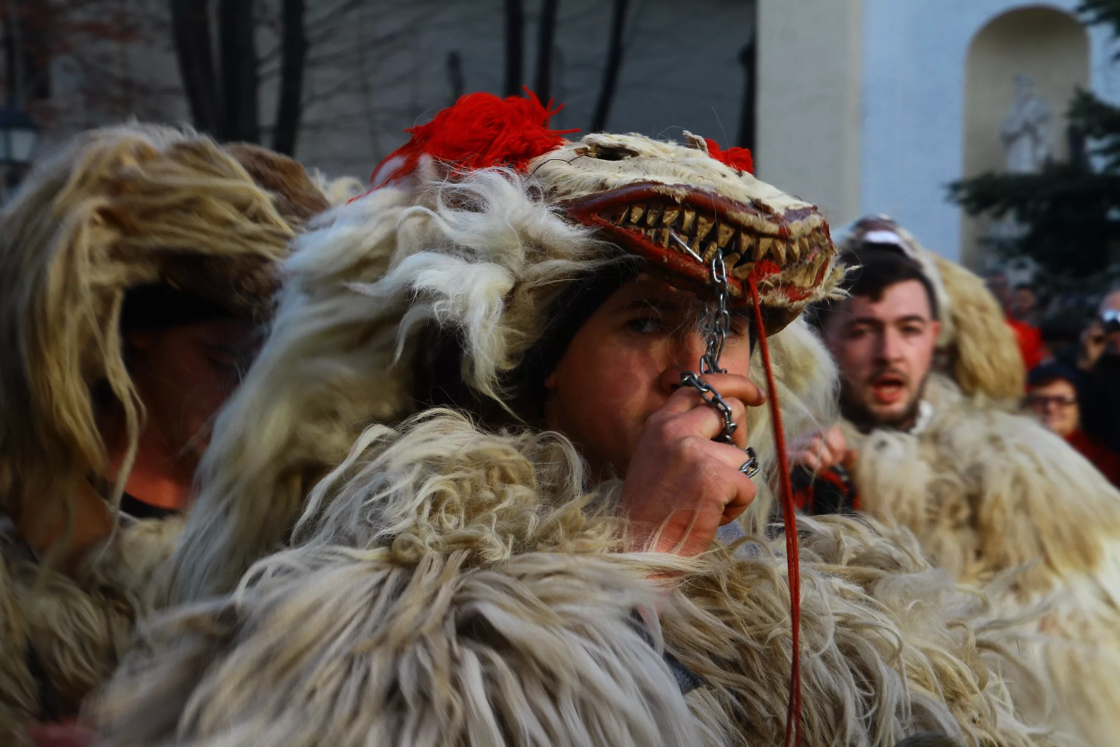 Suceava, Romania - December 27, 2017: Young men dress as bears in fur costumes and man in shepard costume with drum perform traditional dance during annual festival of winter pagan rituals od Malanca.